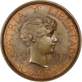 1897 Bronce Souvenir Type I PAT.97