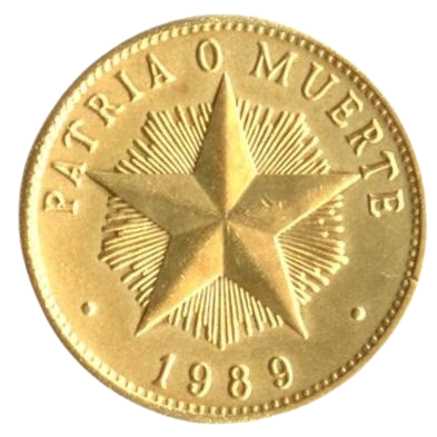 1P 1989