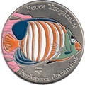 1P 2005 - Peces Tropicales - Pez Angel Real