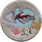 1P 2005 - Peces Tropicales - Rhinecanthus