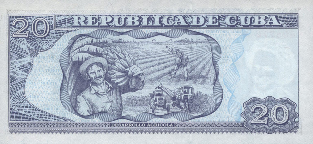 20 Pesos 2009