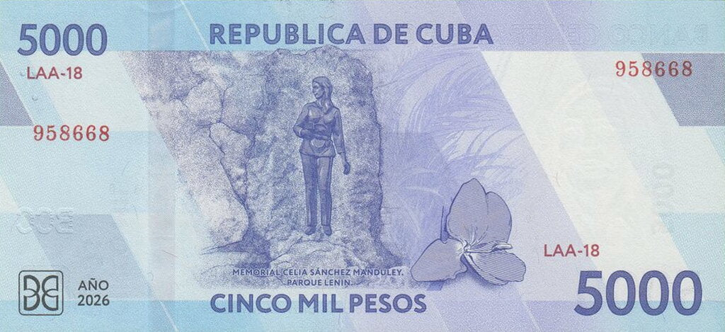 5000P 2026